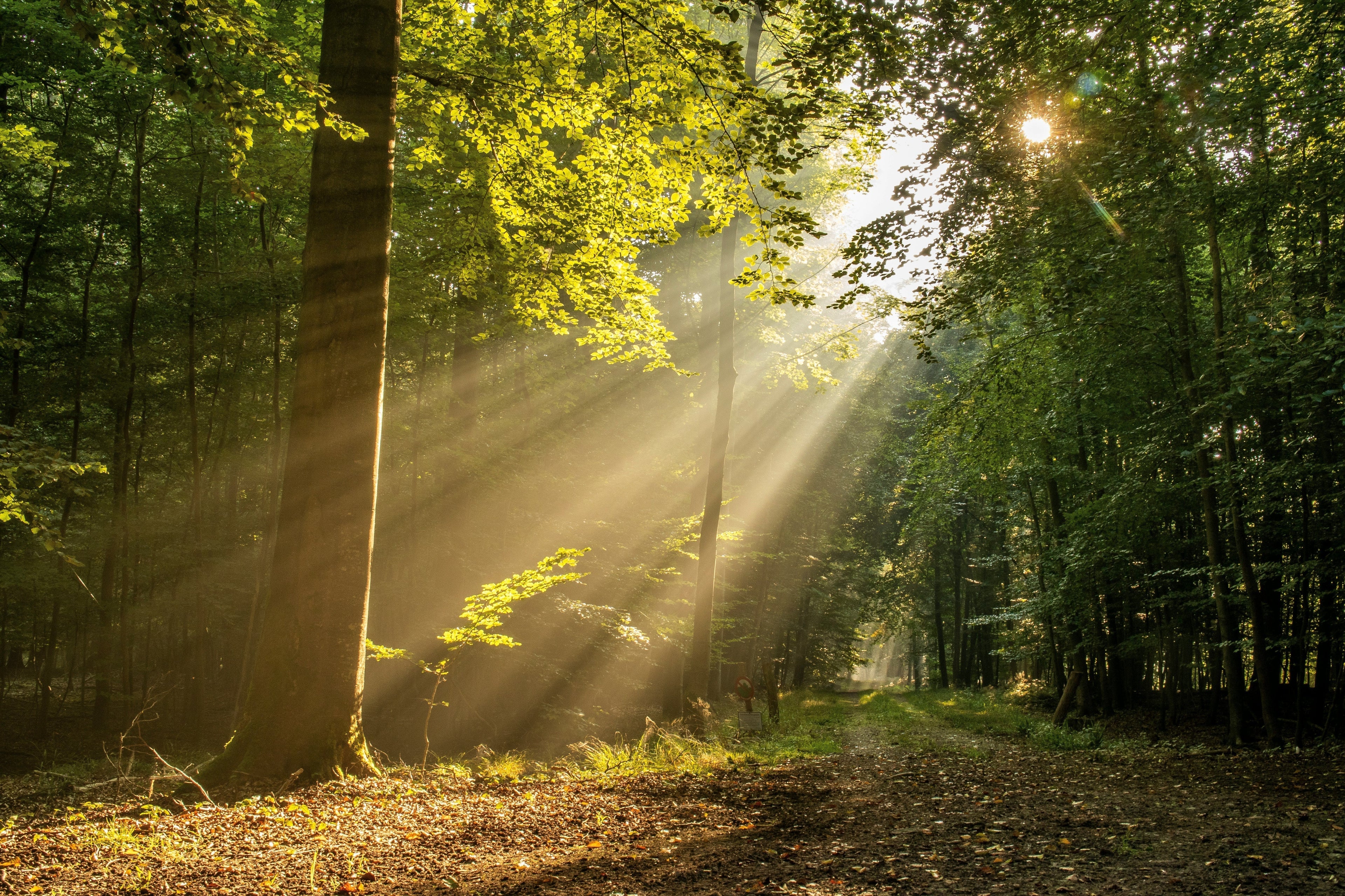 Soaking up the sun: your ultimate summer guide to vitamin D