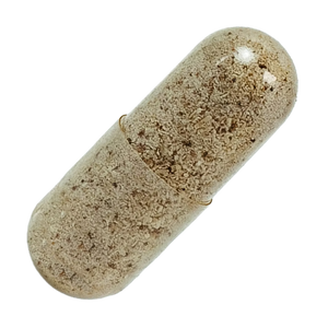 Everyday Women’s Health